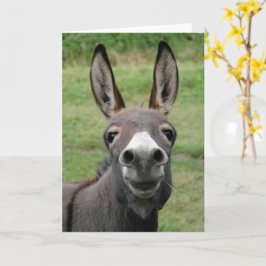 Donkey Kaart (Gele Bloem)