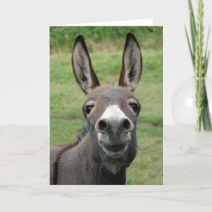 Donkey Kaart