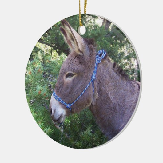 Donkey Keramisch Ornament (Links)