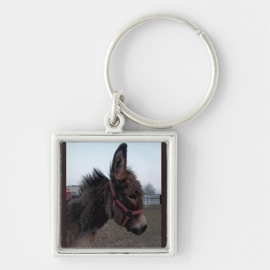 Donkey keyring sleutelhanger (Voorkant)
