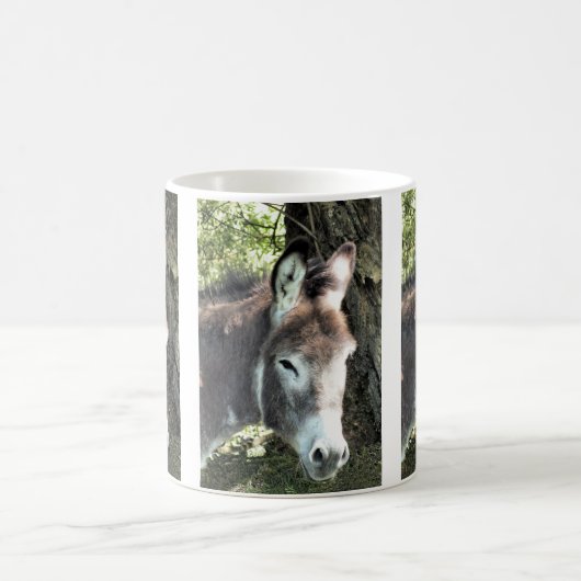 DONKEY KOFFIEMOK (Center)