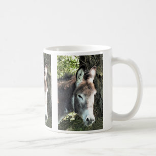DONKEY KOFFIEMOK