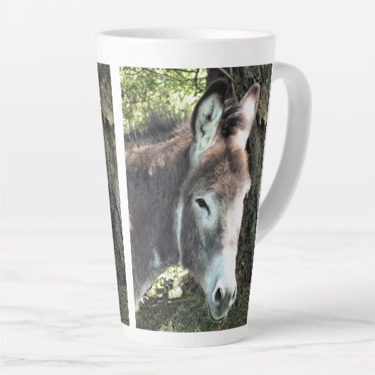 DONKEY LATTE MOK (Rechterhoek)