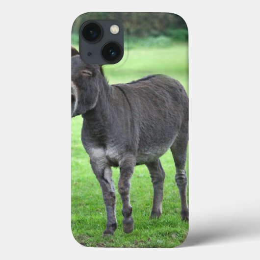 Donkey Laugh iPad Mini Case (Achterkant)