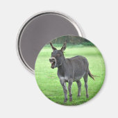 Donkey Laugh Magnet (Voorkant / Achterkant)