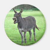 Donkey Laugh Magnet (Voorkant)