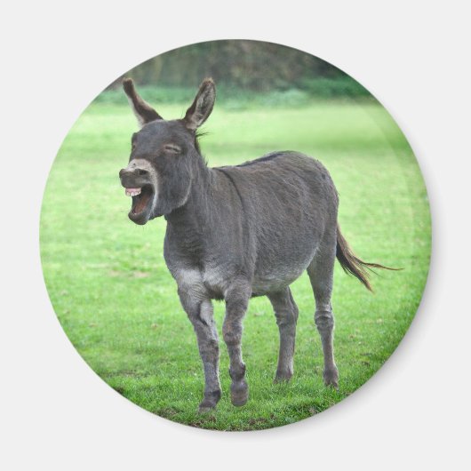 Donkey Laugh Magnet (Voorkant)