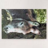 DONKEY LEGPUZZEL (Horizontaal)