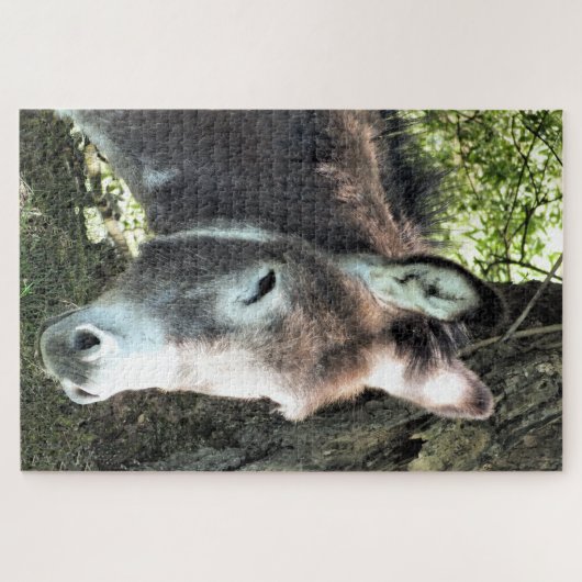 DONKEY LEGPUZZEL (Horizontaal)
