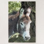 DONKEY LEGPUZZEL (Verticaal)