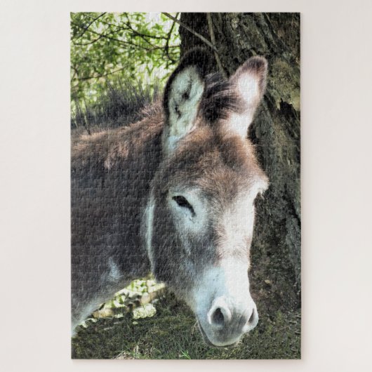DONKEY LEGPUZZEL (Verticaal)