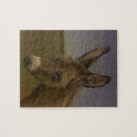 Donkey Legpuzzel (Horizontaal)