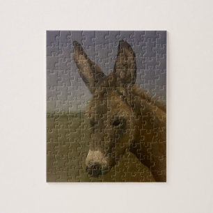 Donkey Legpuzzel