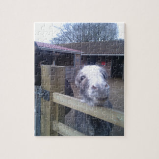 Donkey Legpuzzel