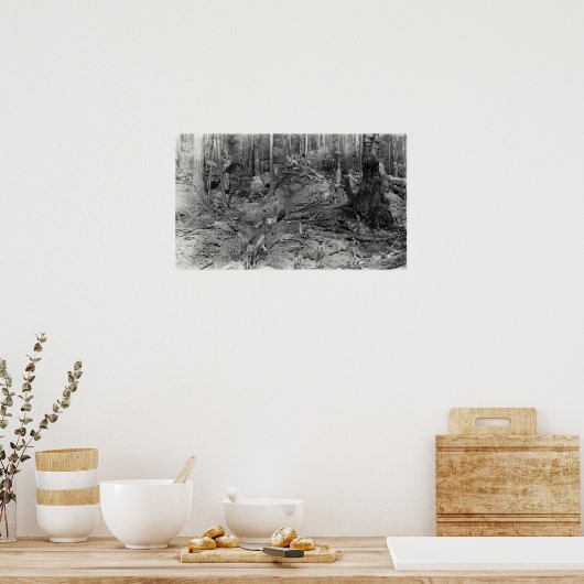 DONKEY LOGGING EEN HILLSIDE c. 1880 Poster (Keuken)