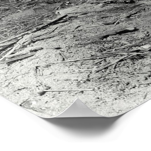 DONKEY LOGGING EEN HILLSIDE c. 1880 Poster (Hoek)