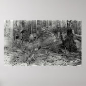 DONKEY LOGGING EEN HILLSIDE c. 1880 Poster (Voorkant)