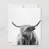 Donkey Love Donkeys Lover Kaart (Achterkant)