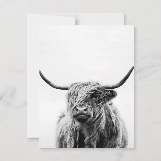 Donkey Love Donkeys Lover Kaart (Achterkant)