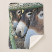 Donkey Love Sherpa Blanket Deken (Voorkant)