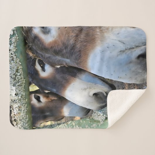 Donkey Love Sherpa Blanket Deken (Voorkant (horizontaal))