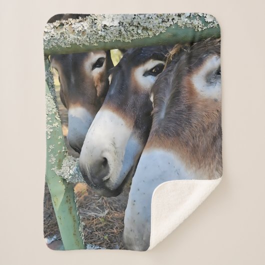 Donkey Love Sherpa Blanket Sherpa Deken (Voorkant)