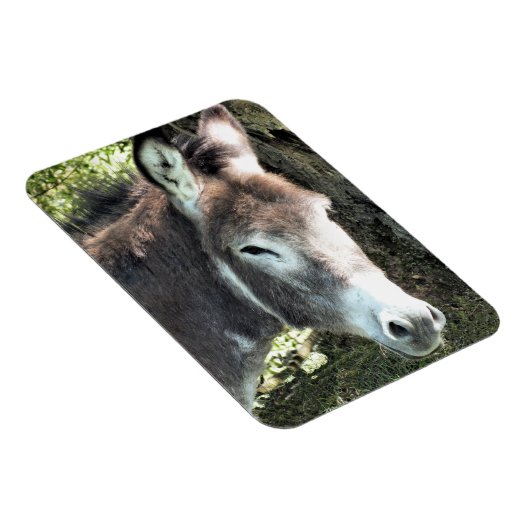 DONKEY MAGNEET (Rechterzijde)