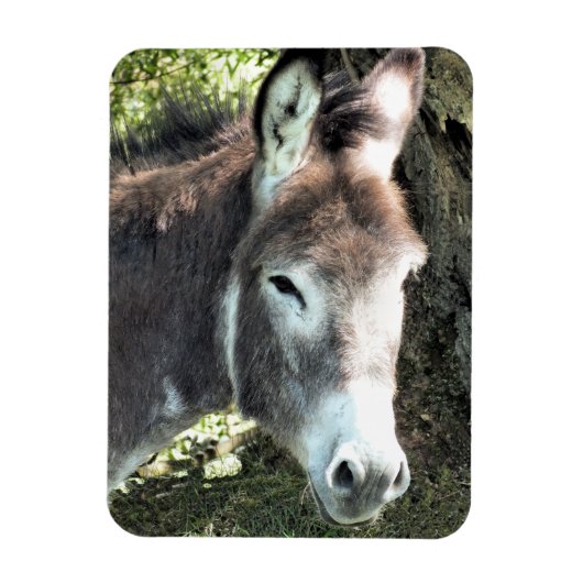 DONKEY MAGNEET (Verticaal)