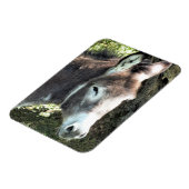 DONKEY MAGNEET (Linkerzijde)