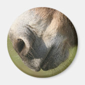 Donkey Magneet (Voorkant)