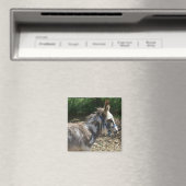 Donkey Magnet (Insitu (Vaatwasser))