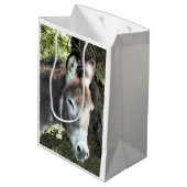 DONKEY MEDIUM CADEAUZAKJE (Achterkant Gekanteld)