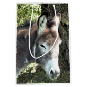 DONKEY MEDIUM CADEAUZAKJE (Voorkant)