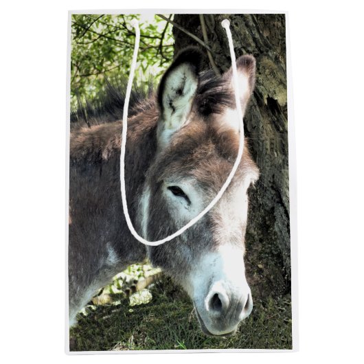 DONKEY MEDIUM CADEAUZAKJE (Voorkant)