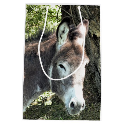 DONKEY MEDIUM CADEAUZAKJE (Achterkant)