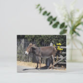 Donkey met gele bloemen briefkaart (Staand voorkant)