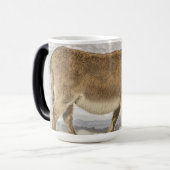 Donkey met laptophoes van Bangs Magische Mok (Voorkant links)