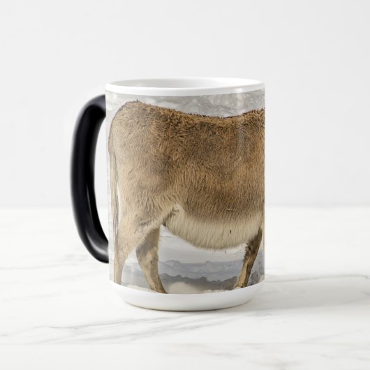 Donkey met laptophoes van Bangs Magische Mok (Voorkant links)