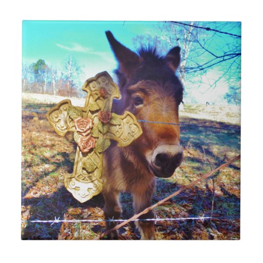 Donkey met Roos Cross Tegeltje (Voorkant)