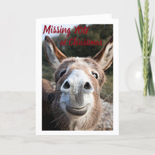 DONKEY MISSEERT ZIJN OF HAAR **BROER ** ZEER ZEER FEESTDAGEN KAART