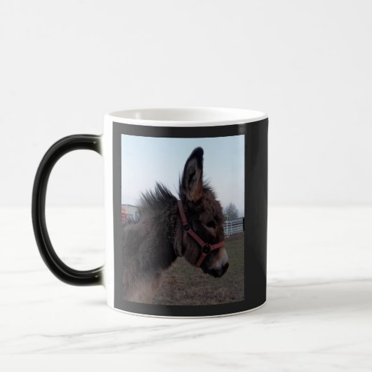 Donkey Mok Cup (Links)