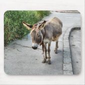 Donkey mousepad muismat (Voorkant)
