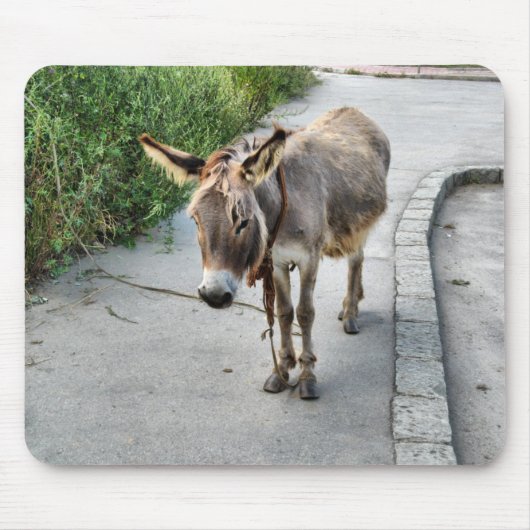 Donkey mousepad muismat (Voorkant)