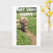 DONKEY NOT VERY HAPPY SAD/BLUE - LIFE WITHOUT YOU KAART (Gele Bloem)
