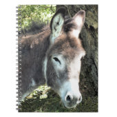 DONKEY NOTITIEBOEK (Voorkant)