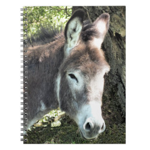 DONKEY NOTITIEBOEK