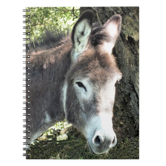 DONKEY NOTITIEBOEK (Voorkant)