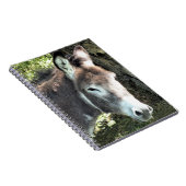 DONKEY NOTITIEBOEK (Rechterzijde)