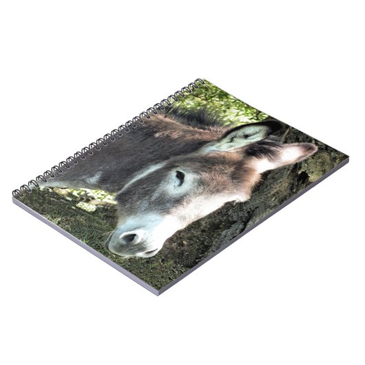 DONKEY NOTITIEBOEK (Linkerzijde)