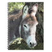 DONKEY NOTITIEBOEK (Voorkant)